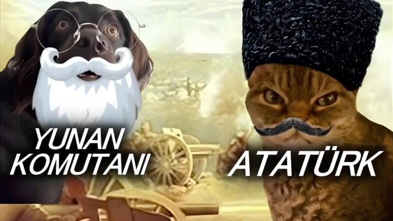 kurtulus-savasini-viral-kedi-goruntuleriyle-anlatan-tiktok-hesabi-toplumsal-medyaya-sevinc-getirdi-iste-gururlanirken-A7TaOUVV.jpeg